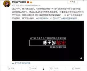 官方博主爆料视频下载,视频下载背后的秘密与技巧  第2张